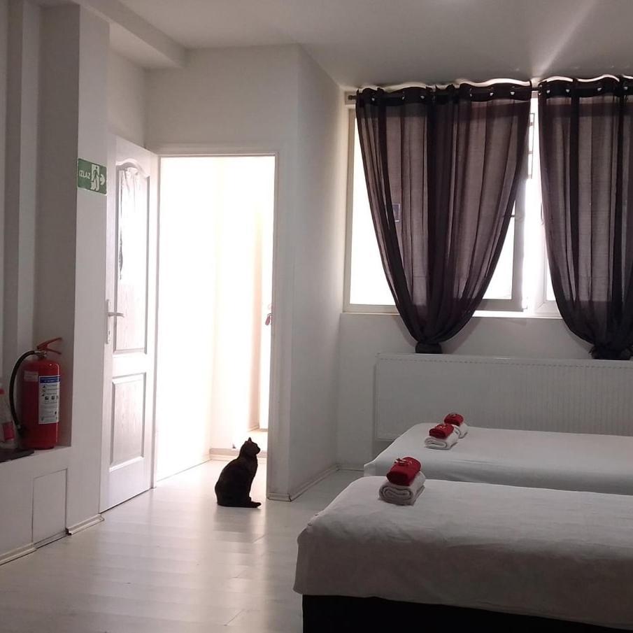 Divlji Raj Apartment Beograd Bagian luar foto