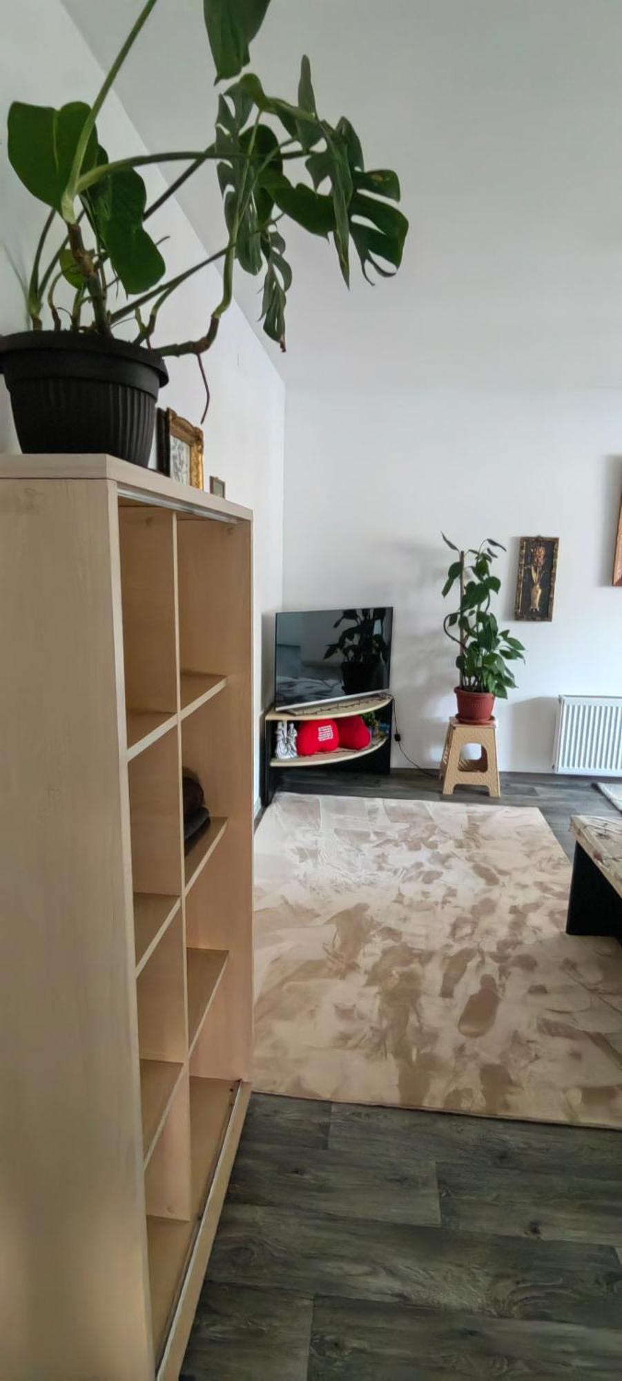Divlji Raj Apartment Beograd Bagian luar foto