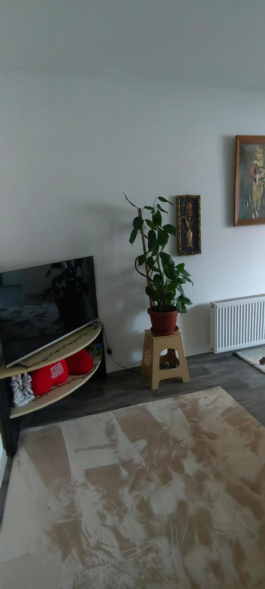Divlji Raj Apartment Beograd Bagian luar foto